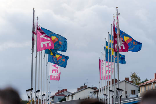 Djurgårdens flagga