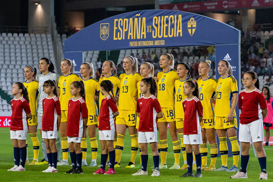 Players of Sweden