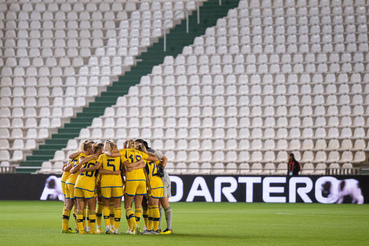Players of Sweden
