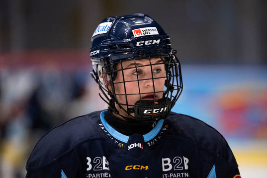 Djurgårdens Brette Pettet deppar