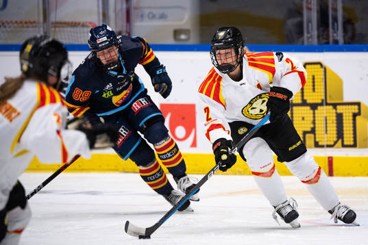 Bläddra bland fler bilder av Ishockey, SDHL, Djurgården - Brynäs