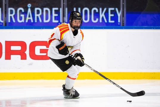 Brynäs Brynäs Sara Cajanova