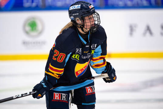 Djurgårdens Brette Pettet deppar