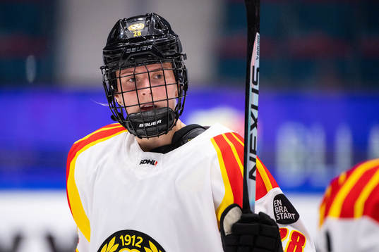 Brynäs Jenny Antonsson