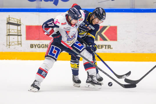 Linköpings Sebastian Strandberg och HV71s Andy Miele
