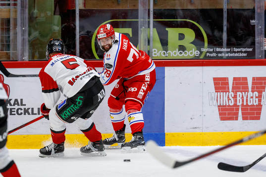 Timrås Robin Hanzl