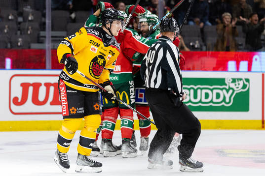 Luleås Jesper Sellgren deppar