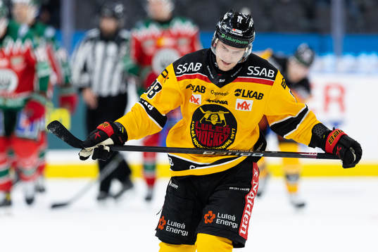Luleås Joonas Rask