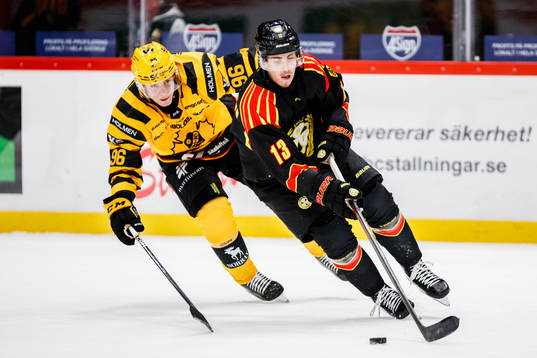 Skellefteås Rickard Hugg och Brynäs Samuel Johannesson