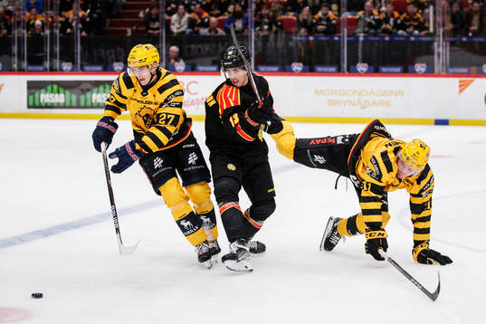 Skellefteås Gabriel Säll och Max Lindholm mot Brynäs