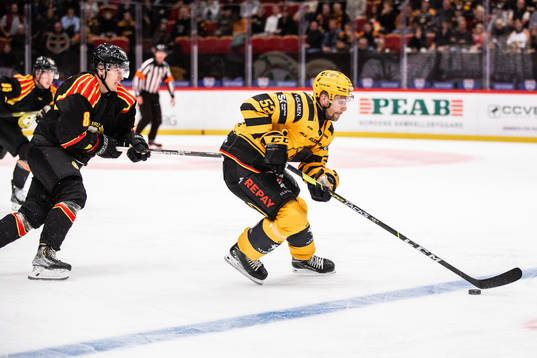 Brynäs Dmytro Timashov och Skellefteås Arvid Lundberg