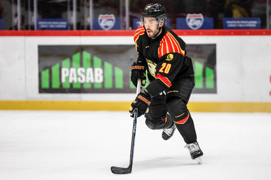 Brynäs Oula Palve