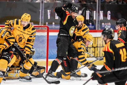 Brynäs Anton Rödin