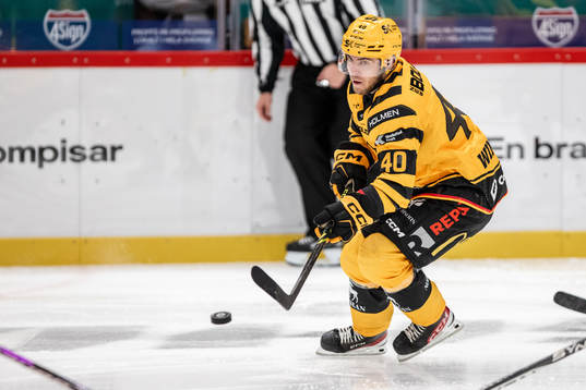 Skellefteås Andreas Wingerli