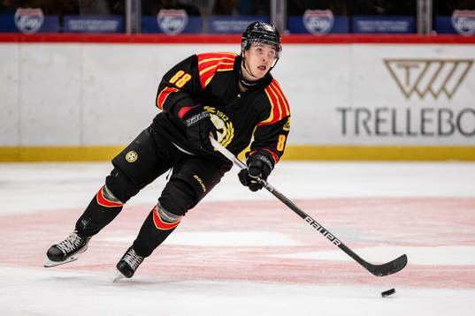 Brynäs Dmytro Timashov