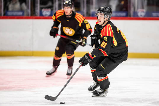 Brynäs Dmytro Timashov