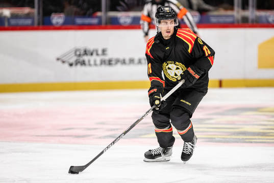Brynäs Samuel Johannesson