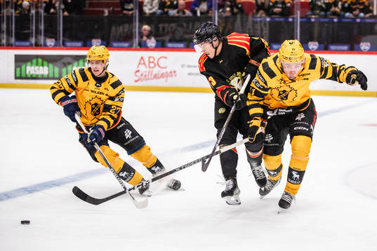 Skellefteås Gabriel Säll, Brynäs Samuel Johannesson och