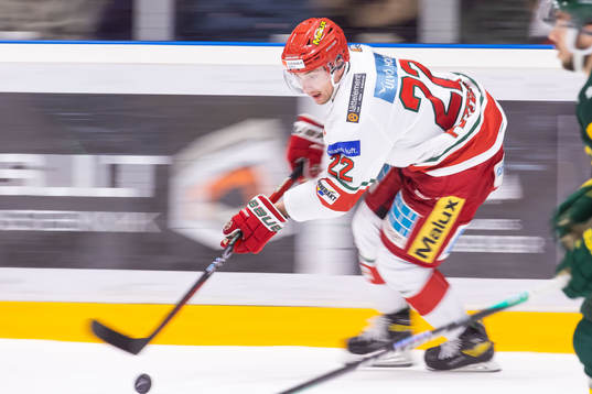 Modos Adam Pettersson