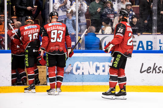 Malmö Redhawks spelarna deppar
