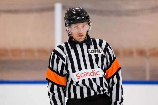 Domare Emil Netz