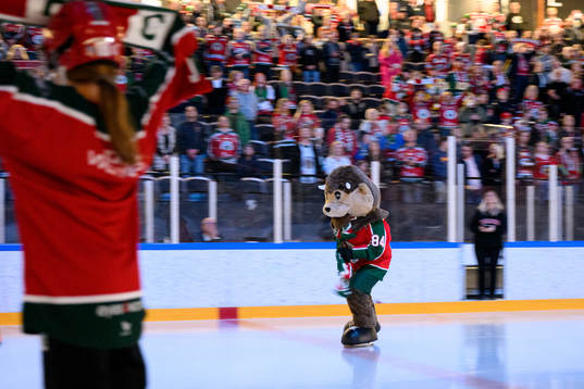 Frölundas maskot Frölle på isen innan ishockeymatchen i
