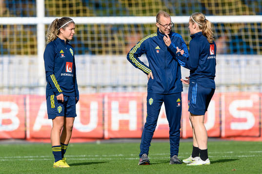 Sveriges analytiker Anders Wasserman