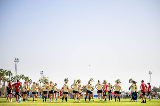Players of the Swedish women's national football team