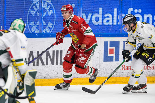 Moras Fabian Ilestedt