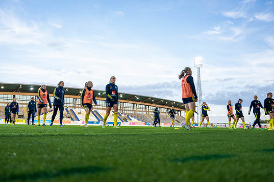 Players of Sweden warm up