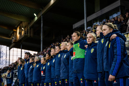 Staff and players of Sweden