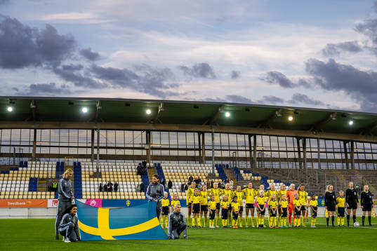 Players of Sweden