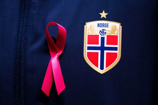 The lofotype of the Norwegian football federation