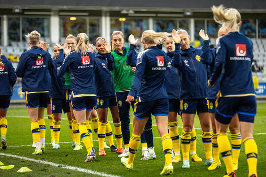 Players of Sweden