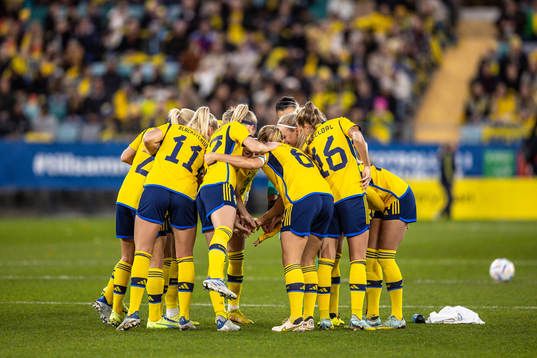 The players of Sweden