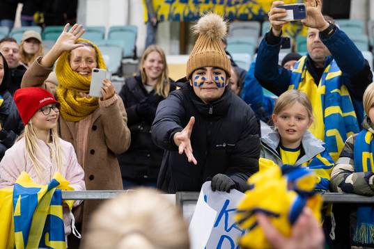 Supporters of Sweden celebrates