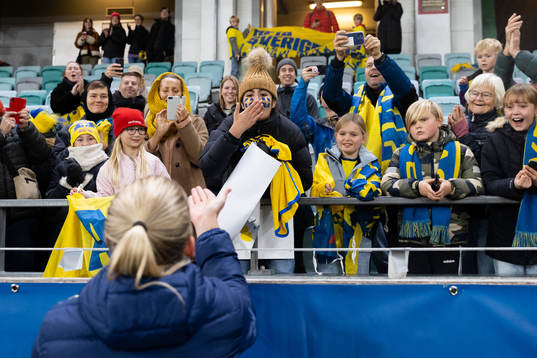Supporters of Sweden celebrates
