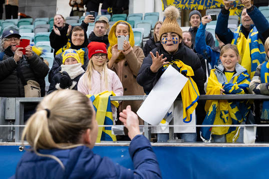 Supporters of Sweden celebrates
