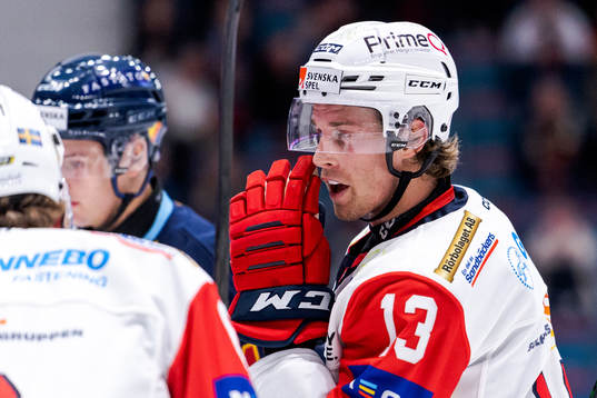 Västerviks Troy Loggins