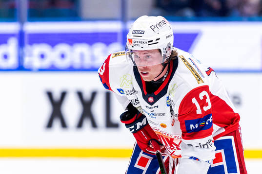 Västerviks Troy Loggins
