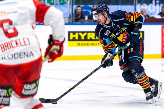 Djurgårdens Daniel Brodin