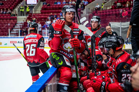 Malmö Redhawks Emil Sylvegård deppar