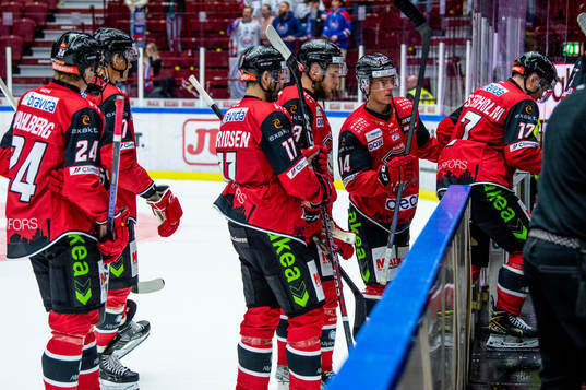 Malmö Redhawks spelare deppar