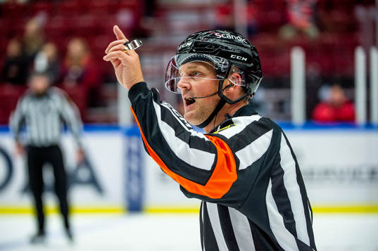 Domare Mikael Nord