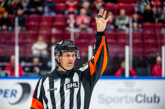 Domare Mikael Holm