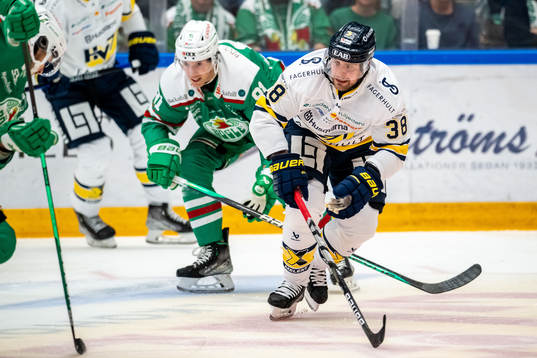 HV71s Nichlas Torp