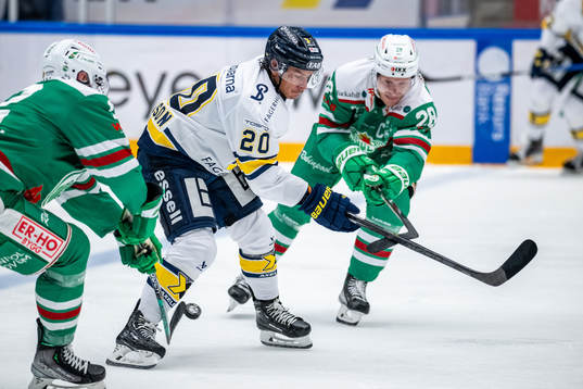 HV71s André Petersson och Rögles Anton Bengtsson