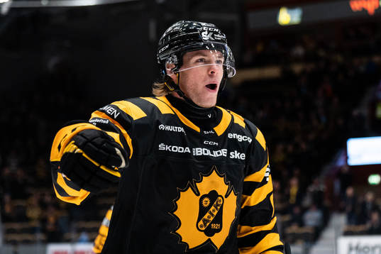 Skellefteås Rickard Hugg jublar