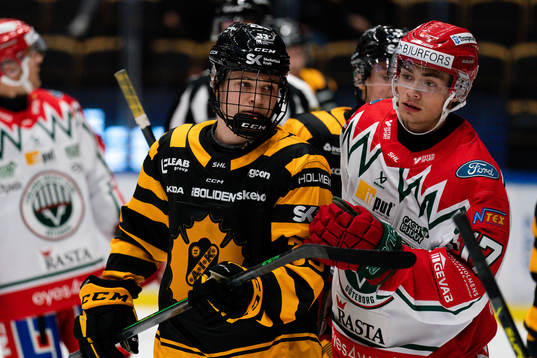 Skellefteås Zeb Forsfjäll