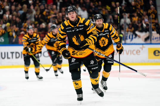 Skellefteås Rickard Hugg jublar
